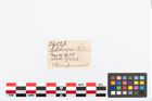Etikett zu Beinnadel (NHMW-PRAE-026522)